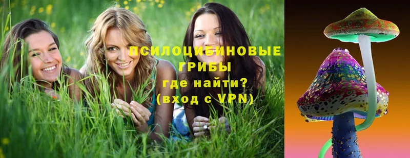 Галлюциногенные грибы мицелий  Уяр 